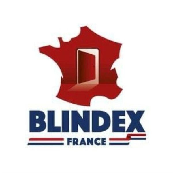 Logo de Blindex France